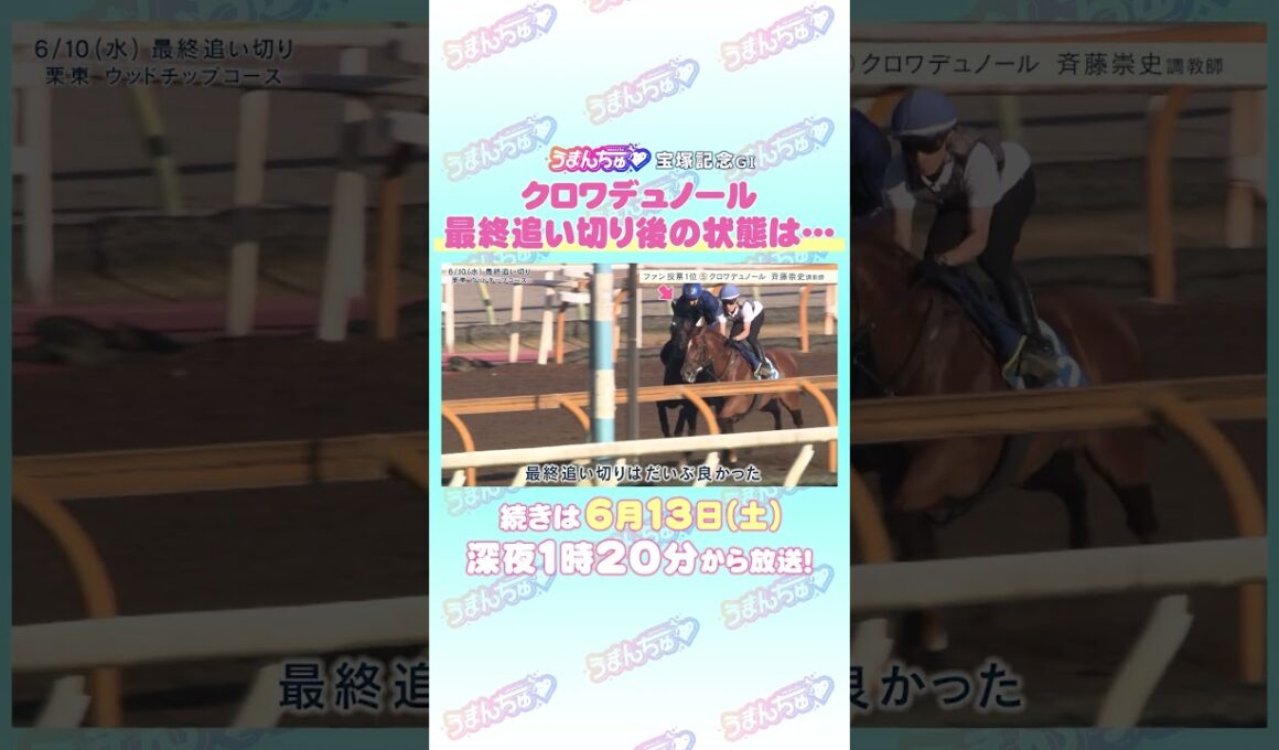 宝塚記念 GⅠ トレセン直撃取材！ #競馬 #宝塚記念 #クロワデュノール #斉藤崇史 調教師