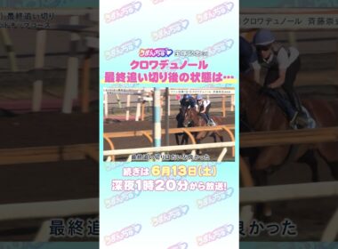 宝塚記念 GⅠ トレセン直撃取材！ #競馬 #宝塚記念 #クロワデュノール #斉藤崇史 調教師