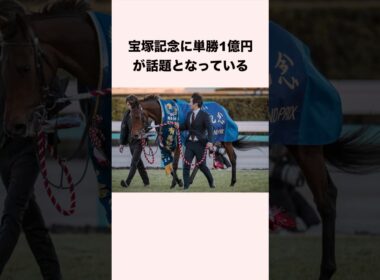 宝塚記念に単勝1億円が話題となっている #競馬 #競馬予想 #shorts