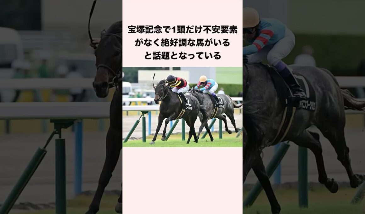宝塚記念で1頭だけ不安要素がなく絶好調な馬がいると話題となっている #競馬 #競馬予想 #shorts