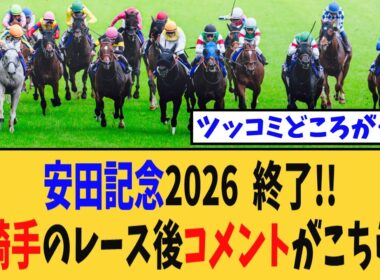 【安田記念】激闘後の全騎手のレース後コメントがこちらｗｗｗ【競馬反応集】