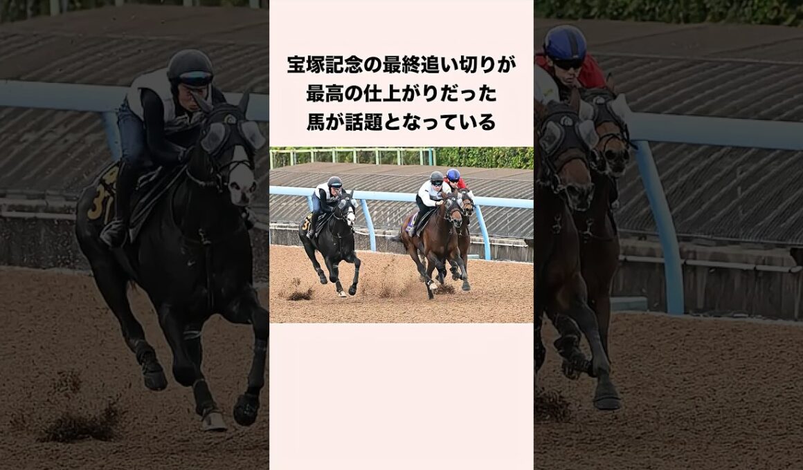 宝塚記念の最終追い切りが最高の仕上がりだった馬が話題となっている #競馬 #競馬予想 #shorts