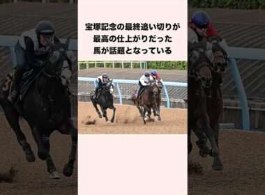 宝塚記念の最終追い切りが最高の仕上がりだった馬が話題となっている #競馬 #競馬予想 #shorts