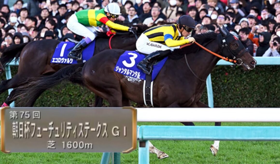 2023 年第75回朝日杯フューチュリティステークス(G1)本馬場入場