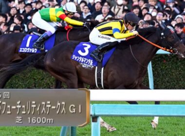 2023 年第75回朝日杯フューチュリティステークス(G1)本馬場入場