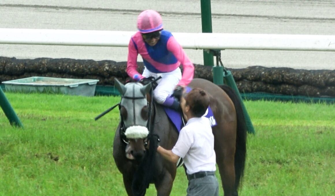 【宝塚記念2026】恵みの雨を味方に武豊とメイショウタバルが父ゴールドシップと同じ連覇達成‼ ウイニングラン 現地映像