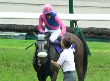 【宝塚記念2026】恵みの雨を味方に武豊とメイショウタバルが父ゴールドシップと同じ連覇達成‼ ウイニングラン 現地映像