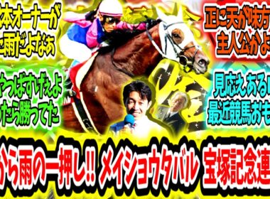 『天国のオーナーから雨の一押し‼メイショウタバル宝塚記念連覇ァ‼』に対するみんなの反応【競馬の反応集】