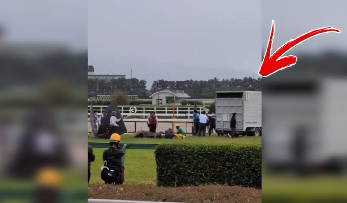 【速報】マイユニバース急性心不全で死亡｜宝塚記念2026で競走中止の衝撃映像