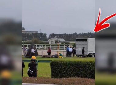 【速報】マイユニバース急性心不全で死亡｜宝塚記念2026で競走中止の衝撃映像