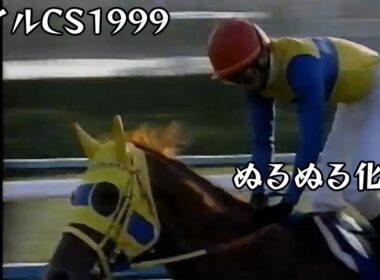 エアジハード  マイルチャンピオンシップ 1999 ぬるぬる化で見よう conv to 60fps