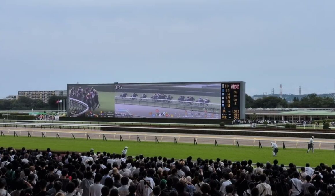 東京競馬場にて宝塚記念レース模様。馬場が重でどよめく場内。そして武豊騎手、メイショウタバルにて２連覇。親子宝塚記念連覇。歴史的瞬間　#競馬　#東京競馬場　#宝塚記念　#メイショウタバル　#武豊