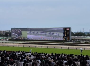 東京競馬場にて宝塚記念レース模様。馬場が重でどよめく場内。そして武豊騎手、メイショウタバルにて２連覇。親子宝塚記念連覇。歴史的瞬間　#競馬　#東京競馬場　#宝塚記念　#メイショウタバル　#武豊