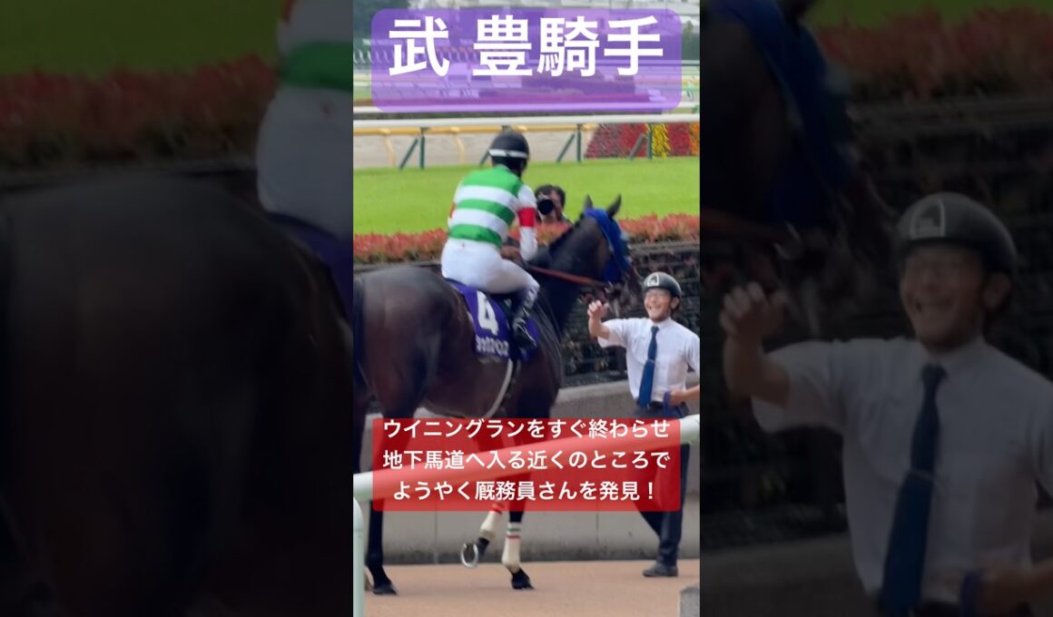 【武豊騎手 & シックスペンス】 ウイニングランに慣れているため段取りが早く地下馬道の前で厩務員さんに迎えられる #安田記念 #武豊 #競馬 #shorts
