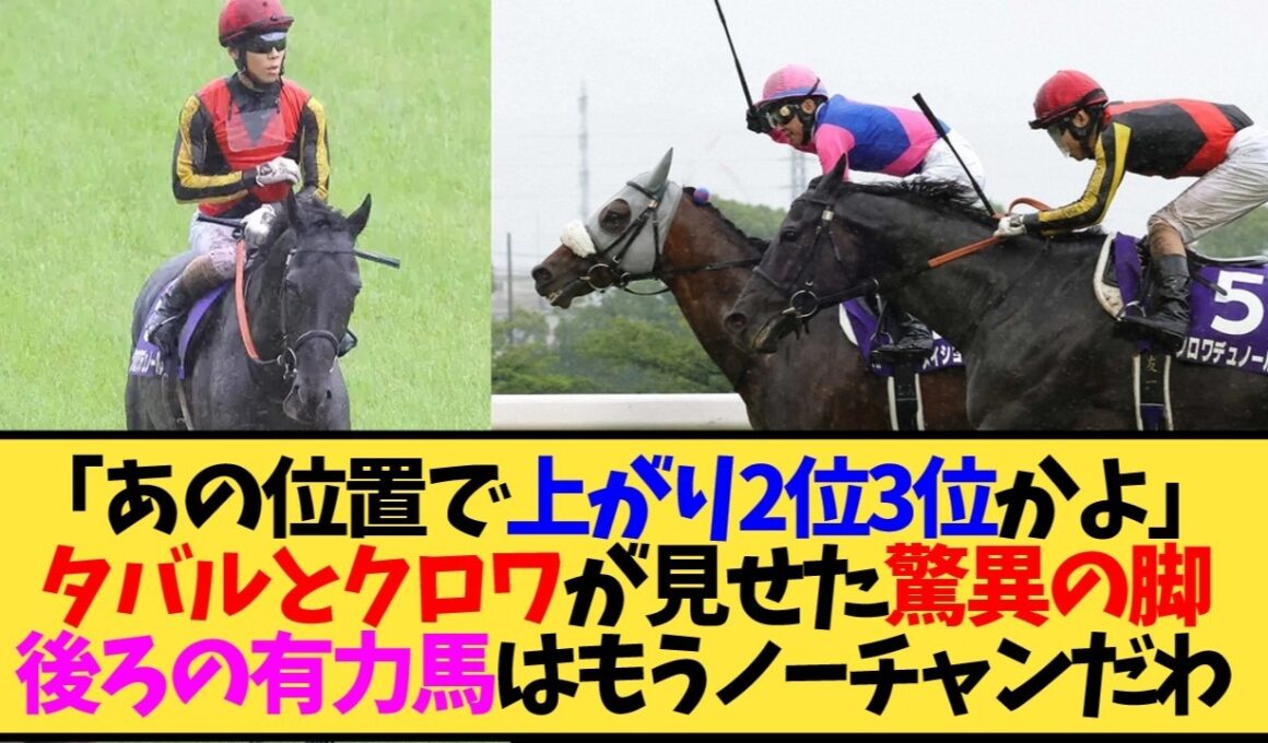 【宝塚記念2026】重馬場後傾ラップでメイショウタバルが強すぎる件、ダノンデサイル上がり最速も届かず…【競馬】