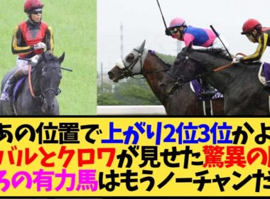 【宝塚記念2026】重馬場後傾ラップでメイショウタバルが強すぎる件、ダノンデサイル上がり最速も届かず…【競馬】