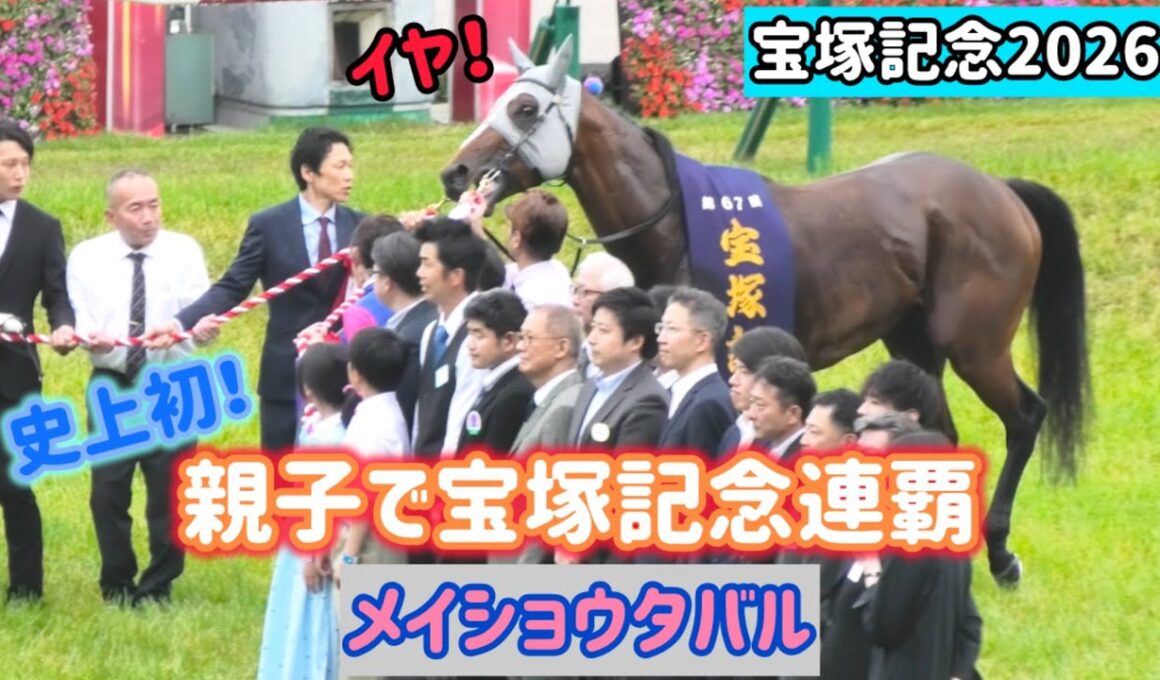 【宝塚記念2026】史上初の親子制覇✨やっぱり口取りはお気に召さない？ちょっぴり綱引きしちゃうメイショウタバル【ゴールドシップ産駒】