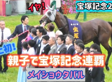【宝塚記念2026】史上初の親子制覇✨やっぱり口取りはお気に召さない？ちょっぴり綱引きしちゃうメイショウタバル【ゴールドシップ産駒】