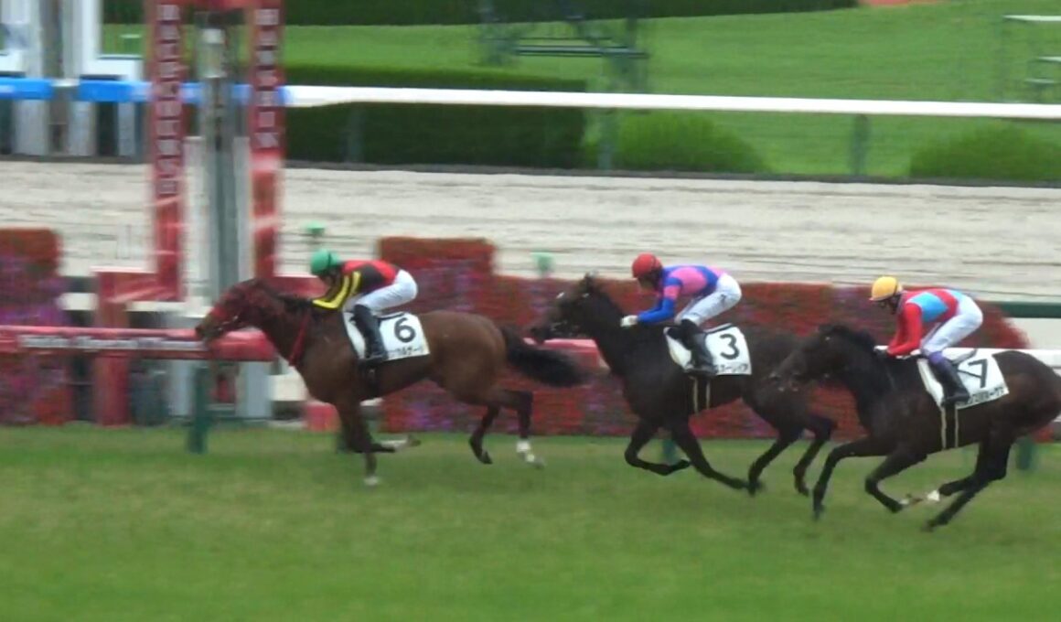 【ダービー候補はいるのか】阪神芝1800mで未来のクラシック候補が始動！皐月賞・日本ダービーへ繋がる重要な新馬戦【阪神5R】