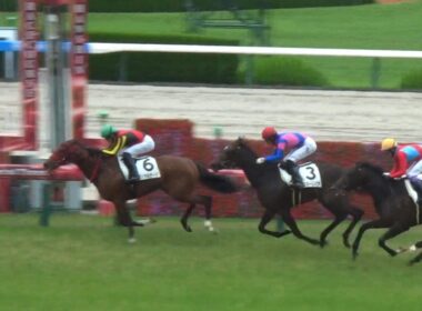 【ダービー候補はいるのか】阪神芝1800mで未来のクラシック候補が始動！皐月賞・日本ダービーへ繋がる重要な新馬戦【阪神5R】