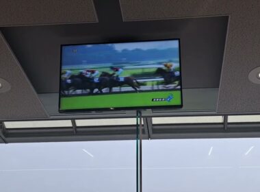 【宝塚記念2026】現地映像 優勝:メイショウタバル