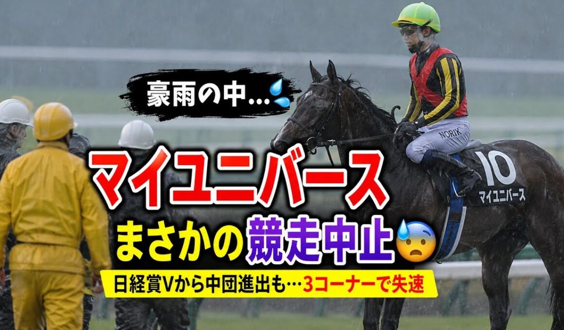 【衝撃】マイユニバース競走中止…豪雨の宝塚記念で何が起きたのか！？ファン騒然の瞬間 #宝塚記念 #マイユニバース #横山典弘 #競馬 #競走中止