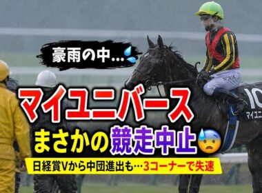 【衝撃】マイユニバース競走中止…豪雨の宝塚記念で何が起きたのか！？ファン騒然の瞬間 #宝塚記念 #マイユニバース #横山典弘 #競馬 #競走中止