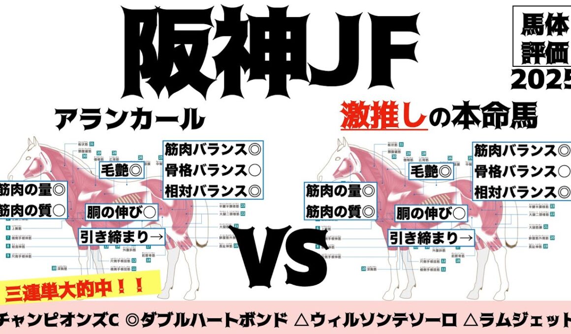 【阪神ジュベナイルフィリーズ2025】アランカールはさすがの良血馬体！！男の子顔負けの子を狙いたいね！【馬体評価】