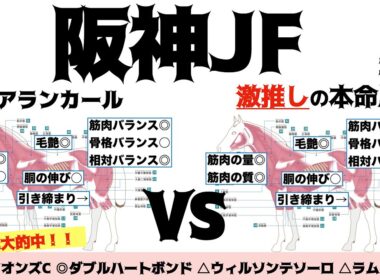 【阪神ジュベナイルフィリーズ2025】アランカールはさすがの良血馬体！！男の子顔負けの子を狙いたいね！【馬体評価】