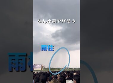 【雨の宝塚記念】現地から届けます#shorts #宝塚記念2026 #阪神競馬場 #競馬 #メイショウタバル #武豊 #2連覇