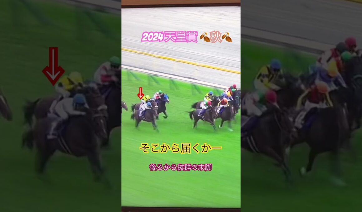 #天皇賞秋#秋天#武豊#ドウデュース