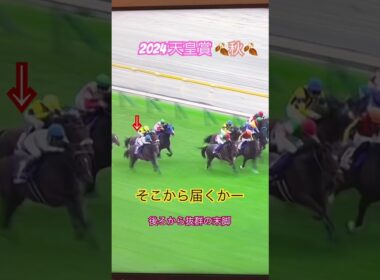 #天皇賞秋#秋天#武豊#ドウデュース