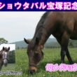 ㊗メイショウタバル宝塚記念連覇！母メイショウツバクロと産駒たちの様子