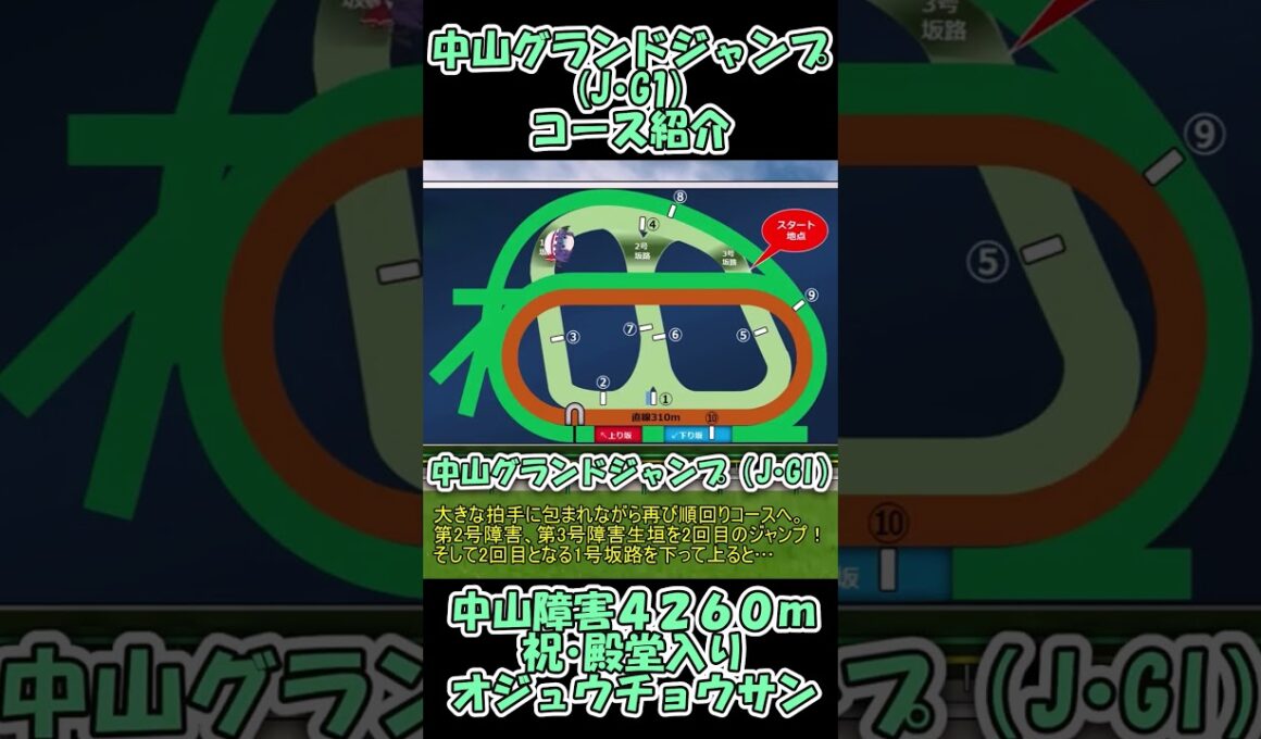 中山グランドジャンプコース紹介【㊗オジュウチョウサン殿堂入り】