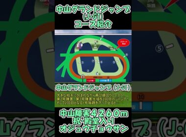 中山グランドジャンプコース紹介【㊗オジュウチョウサン殿堂入り】