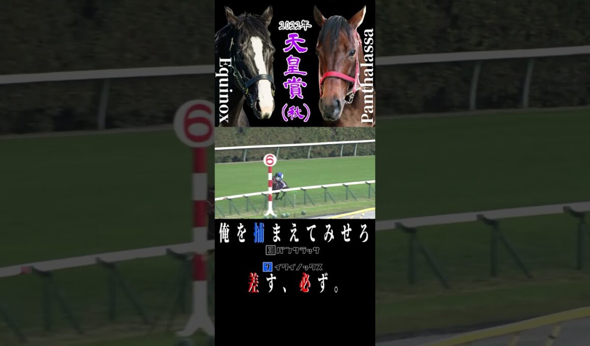 イクイノックスvsパンサラッサ 2022年 天皇賞秋 #競馬