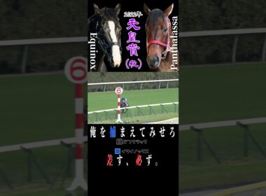 イクイノックスvsパンサラッサ 2022年 天皇賞秋 #競馬