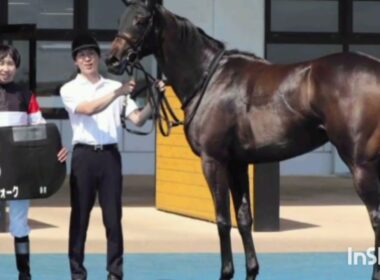 【競馬】モンローウォークが10ヶ月ぶり復帰戦で完勝！大物候補が秋華賞へ好発進 🐎✨🔥競馬ニュース #八雲特別 #横山和生 #秋華賞 #キズナ産駒 #JRA #函館競馬場