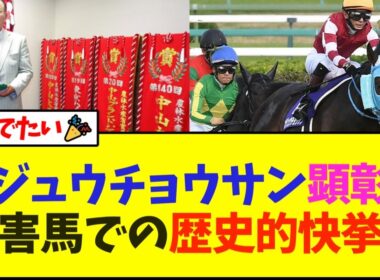 【祝報】オジュウチョウサン、顕彰馬へ 障害馬選出は歴史的快挙！！【競馬】