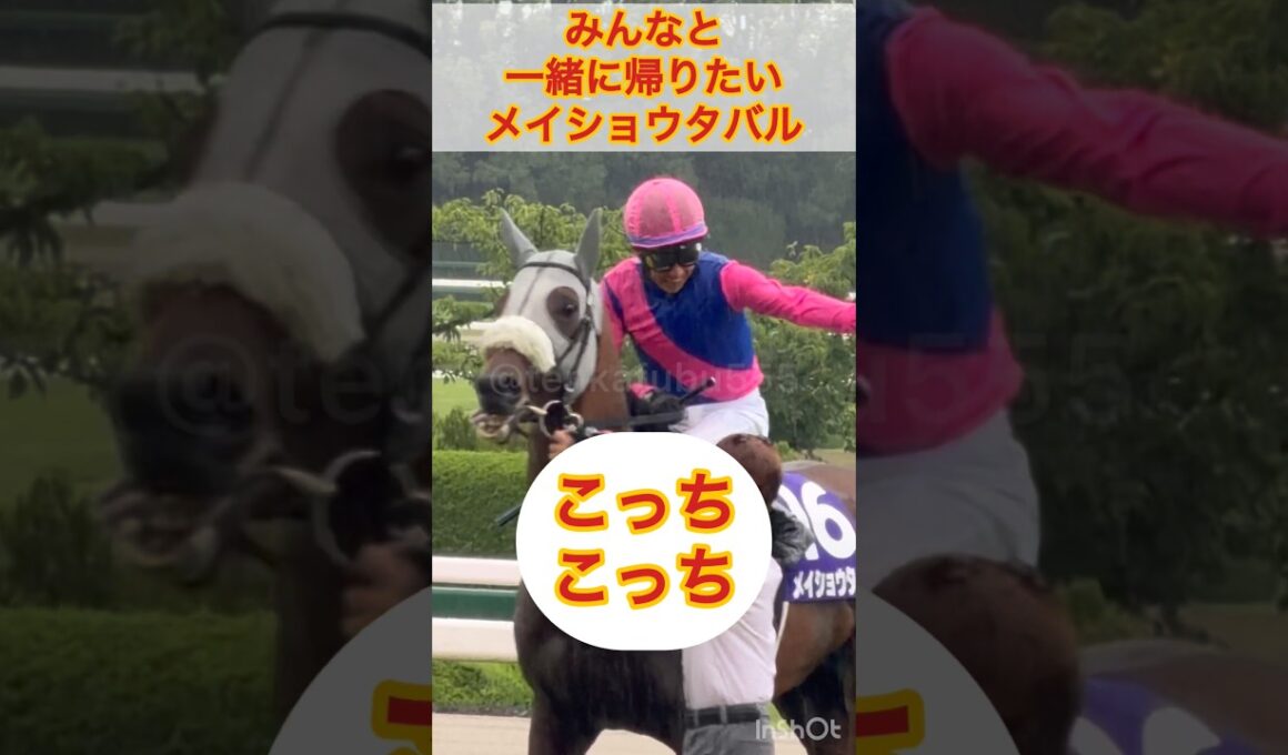 【宝塚記念】他の馬と帰りたいメイショウタバルと、必死に引き止める武豊が可愛すぎるw #shorts #short #武豊 #宝塚記念 #メイショウタバル