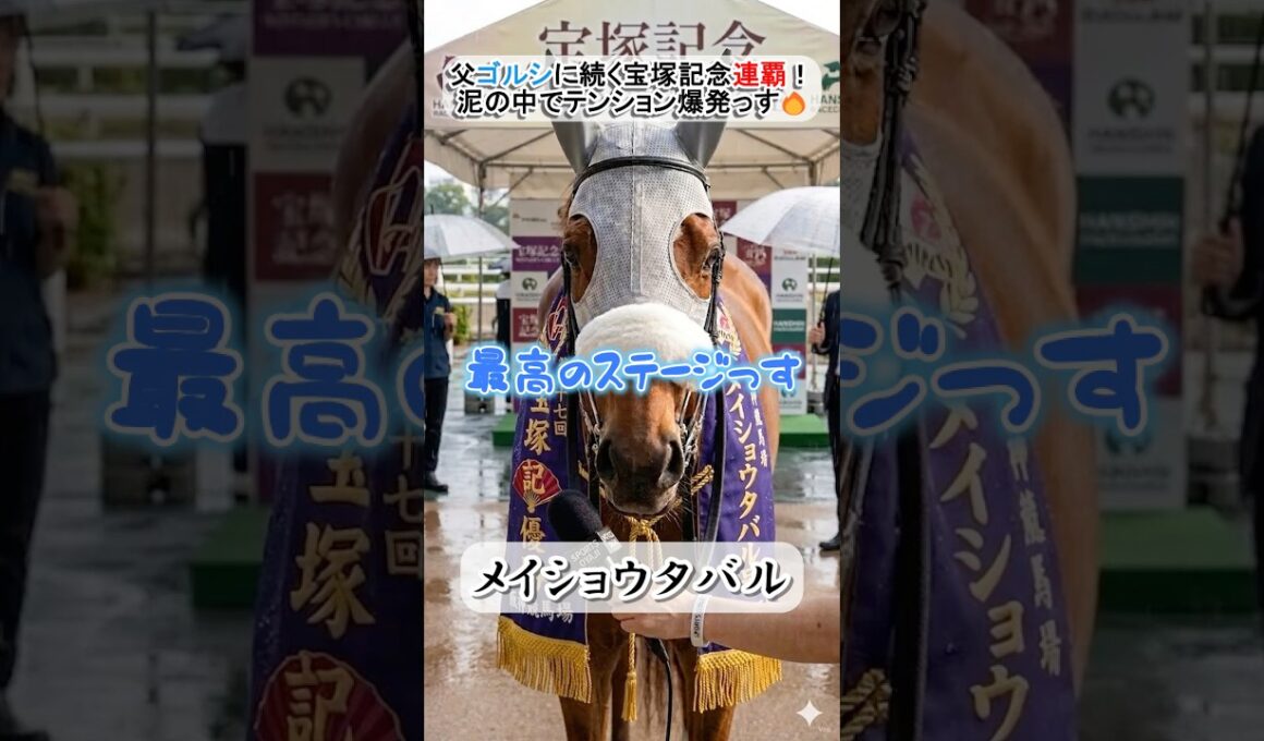 宝塚記念連覇！メイショウタバルが語る、恵みの雨で大激走 #メイショウタバル #宝塚記念 #ゴールドシップ #競馬 #名馬