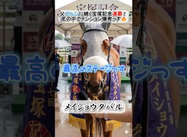 宝塚記念連覇！メイショウタバルが語る、恵みの雨で大激走 #メイショウタバル #宝塚記念 #ゴールドシップ #競馬 #名馬
