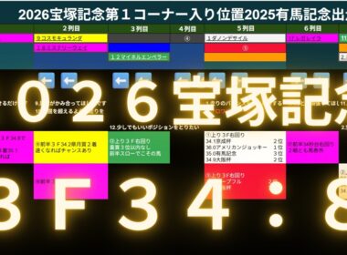 2026宝塚記念【メイショウタバル】【コスモキュランダ】行った行った。武豊信頼。横山親子連携？【ダノンデザイル】の刺客とは？【クロワデュノール】は必ず買う。
