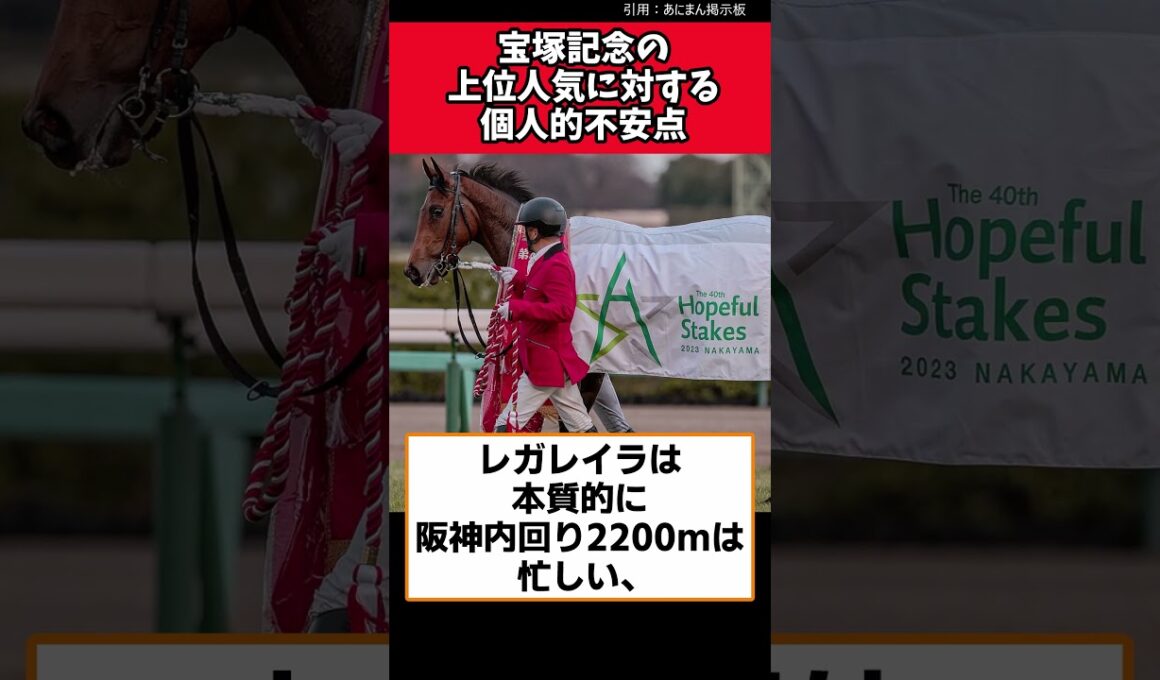宝塚記念の上位人気に対する個人的不安点【競馬反応集】　#宝塚記念　#クロワデュノール　＃メイショウタバル