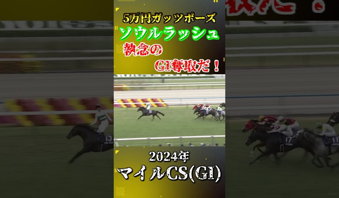 ソウルラッシュ【2024年マイルチャンピオンシップ(GI)】#競馬 #マイルチャンピオンシップ #ソウルラッシュ