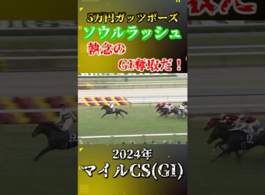 ソウルラッシュ【2024年マイルチャンピオンシップ(GI)】#競馬 #マイルチャンピオンシップ #ソウルラッシュ