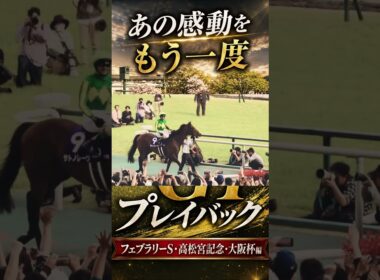 【2026上半期G1プレイバック切り抜き】フェブラリーS・高松宮記念・大阪杯の感動をもう一度｜続きは長編で