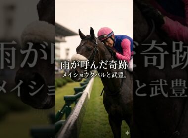 【宝塚記念】メイショウタバルと武豊の物語