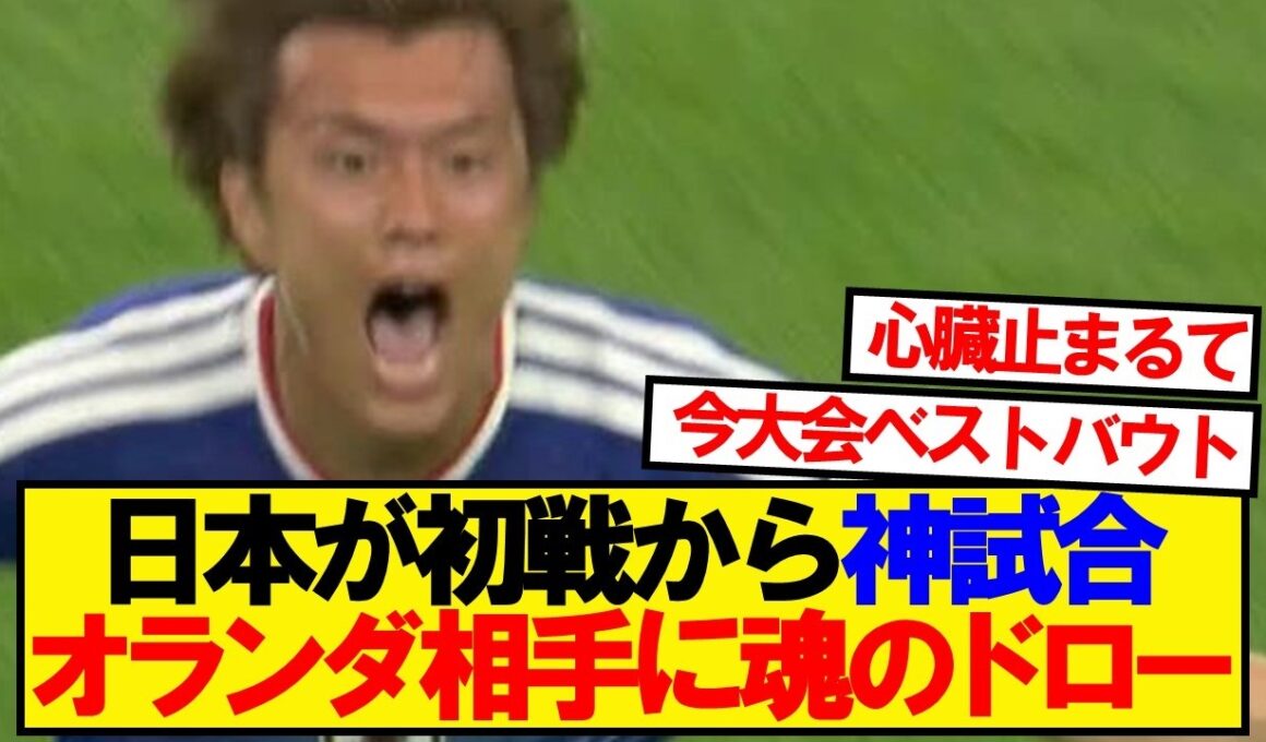 【神試合】日本VSオランダ、みんなの正直な感想がこちら