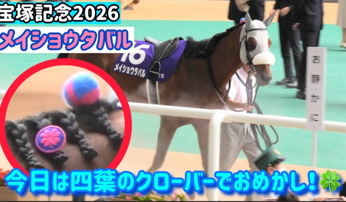 【宝塚記念2026】たてがみに四葉のクローバー🍀でおめかしして連覇を狙っちゃうメイショウタバル